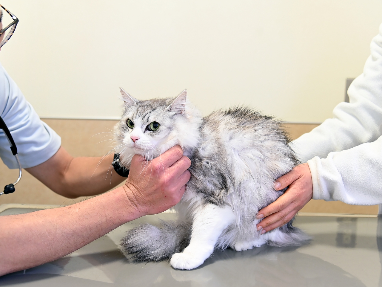 インフォームドコンセント