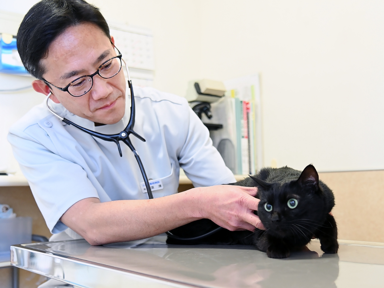 ペットへのストレス軽減