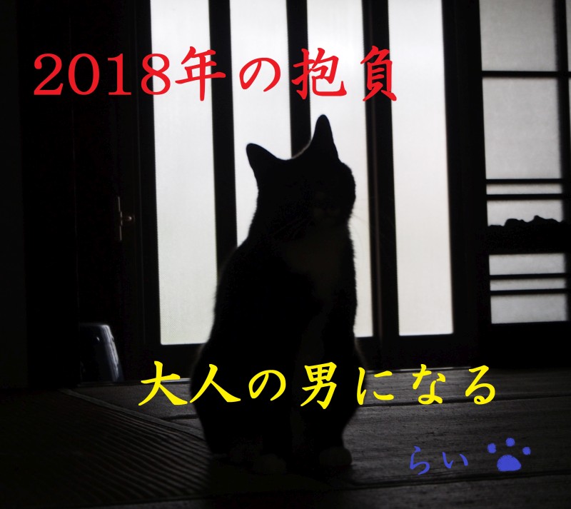 20180109_3_ふかつ動物病院 糸島市 動物病院